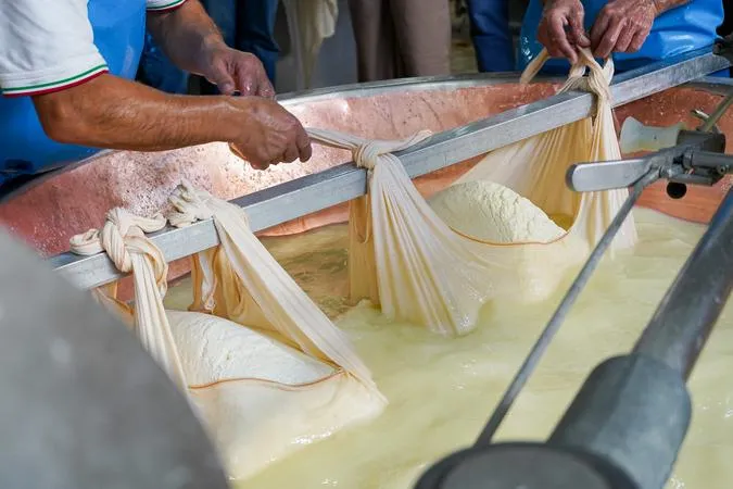 Parma con treno ad alta velocità: tour del Parmigiano Reggiano e del Prosciutto (da Bologna)