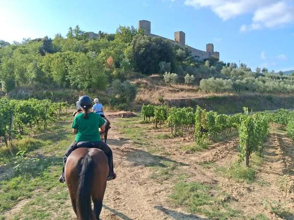 Passeggiata a cavallo nelle terre pisane con pranzo o cena