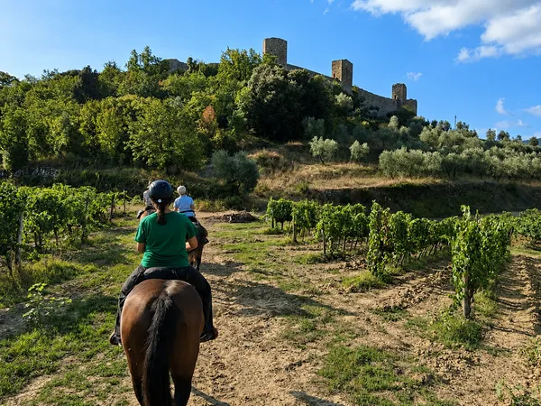 Horseback riding in the Pisan lands with lunch or dinner