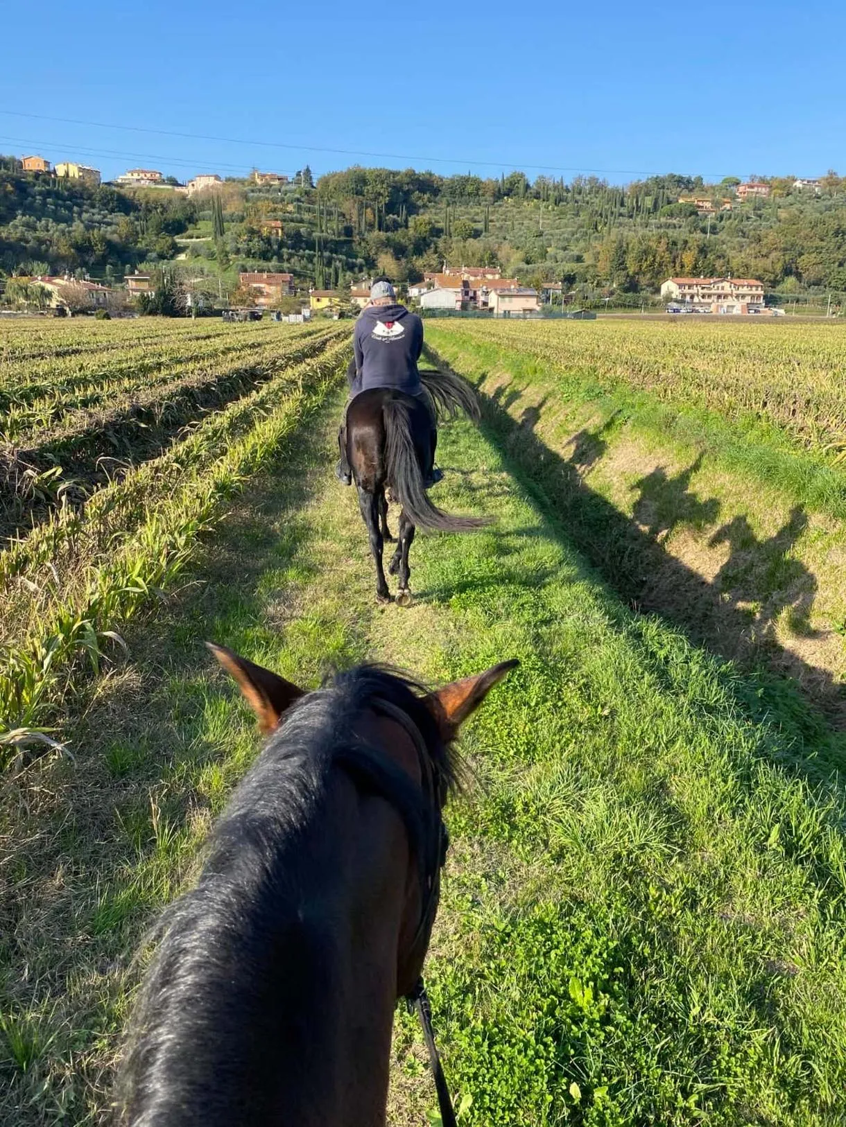 Passeggiata a cavallo nelle terre pisane con pranzo o cena