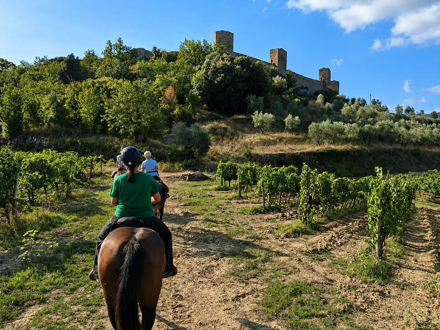 Passeggiata a cavallo nelle terre pisane con pranzo o cena