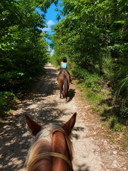Passeggiata a cavallo con aperitivo nei pressi di Pisa