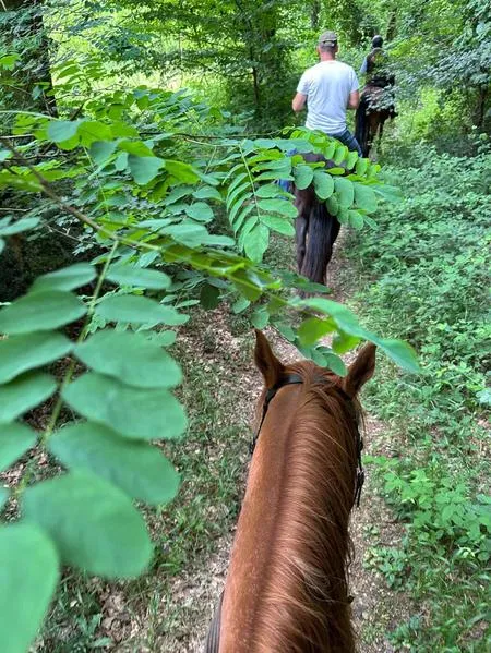 Passeggiata a cavallo con aperitivo