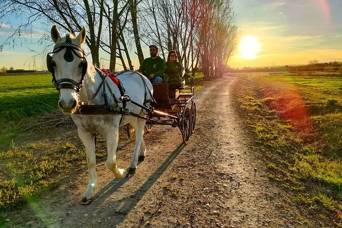 Giro in carrozza con degustazione di prodotti tipici in Toscana