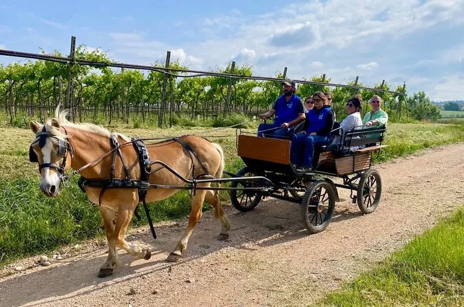 Passeggiata in carrozza con degustazione di prodotti tipici locali