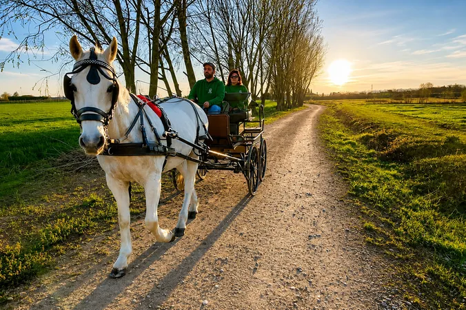 Giro in carrozza con degustazione di prodotti tipici in Toscana