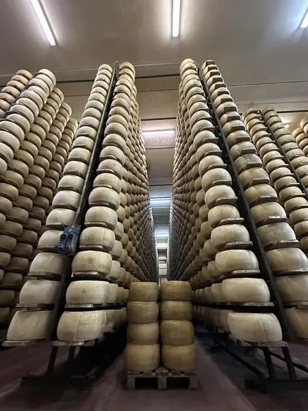Visita guidata al caseificio con degustazione di Parmigiano Reggiano DOP