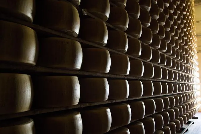Visita guidata al caseificio con degustazione di Parmigiano Reggiano DOP