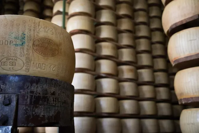 Visita al caseificio Ferrarini & Bonetti con degustazione di Parmigiano Reggiano nei pressi di Parma
