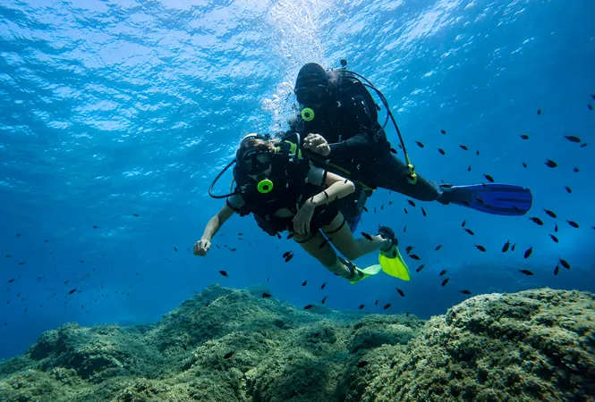 Immersione guidata per principianti all’Isola d’Elba da Lacona