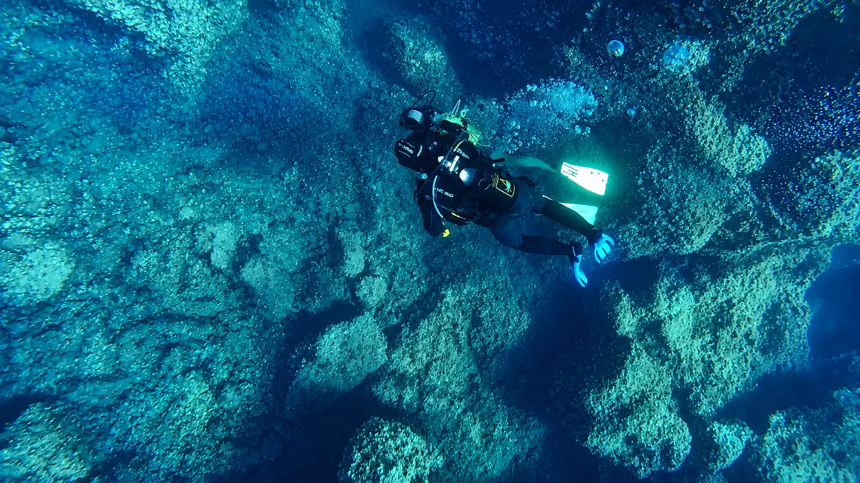Immersione guidata per principianti all’Isola d’Elba da Lacona