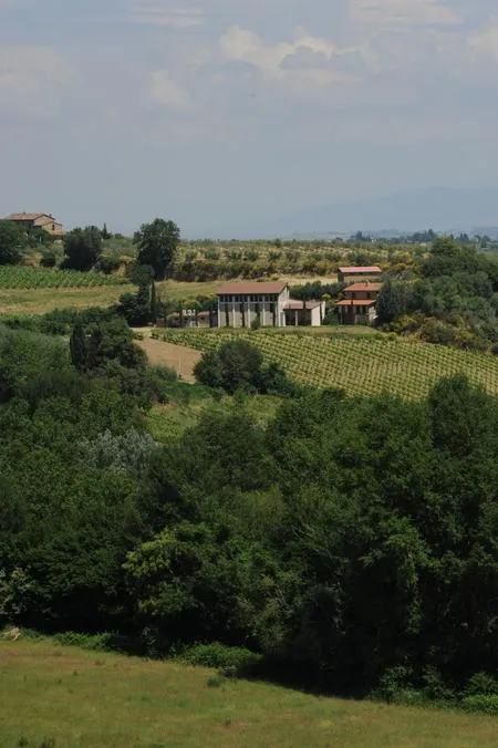 Tour in cantina e degustazione di Vino Nobile a Montepulciano