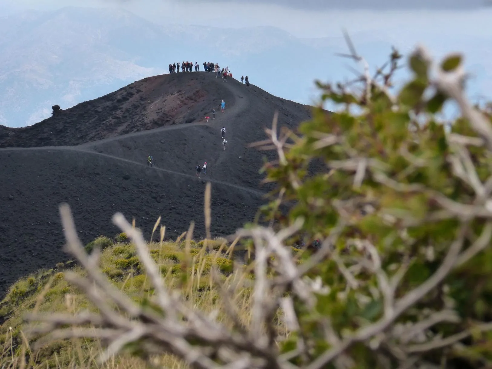 Trekking di gruppo sull'Etna Nord da Piano Provenzana