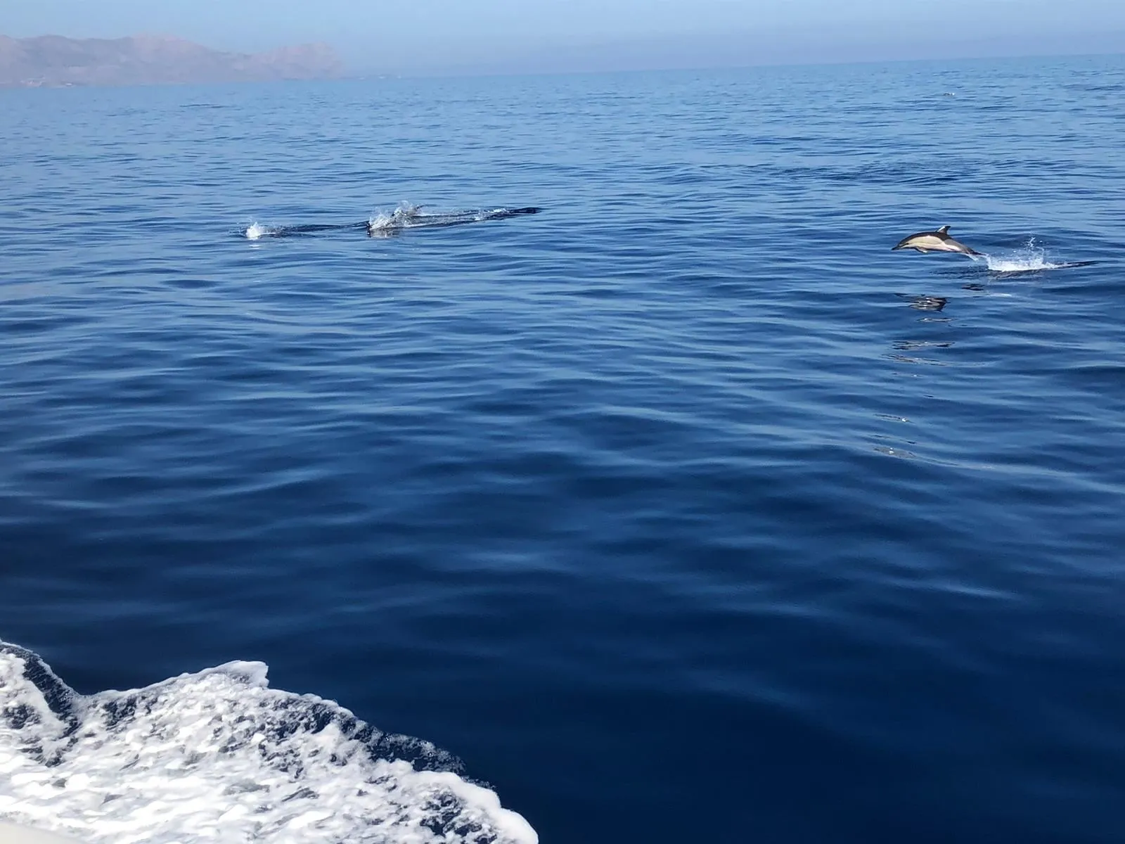 Tour in barca tra la Riserva dello Zingaro, Scopello e San Vito Lo Capo da Castellammare del Golfo