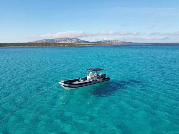 Escursione in gommone al Parco Nazionale dell'Asinara e La Pelosa con skipper e aperitivo a bordo