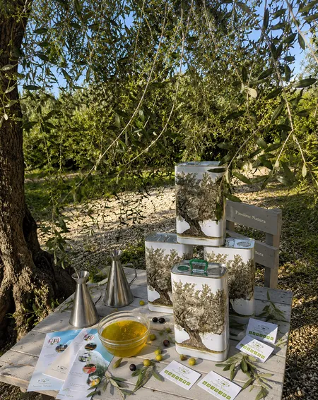Degustazione di olio EVO BIO con visita agli ulivi in agriturismo a Vieste