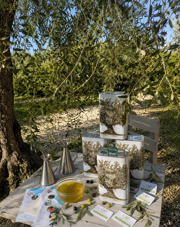 Degustazione di olio EVO BIO con visita agli ulivi in agriturismo a Vieste