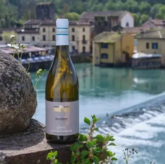 Tasting of 6 wines with a tour of the Le Muraglie Winery on Lake Garda
