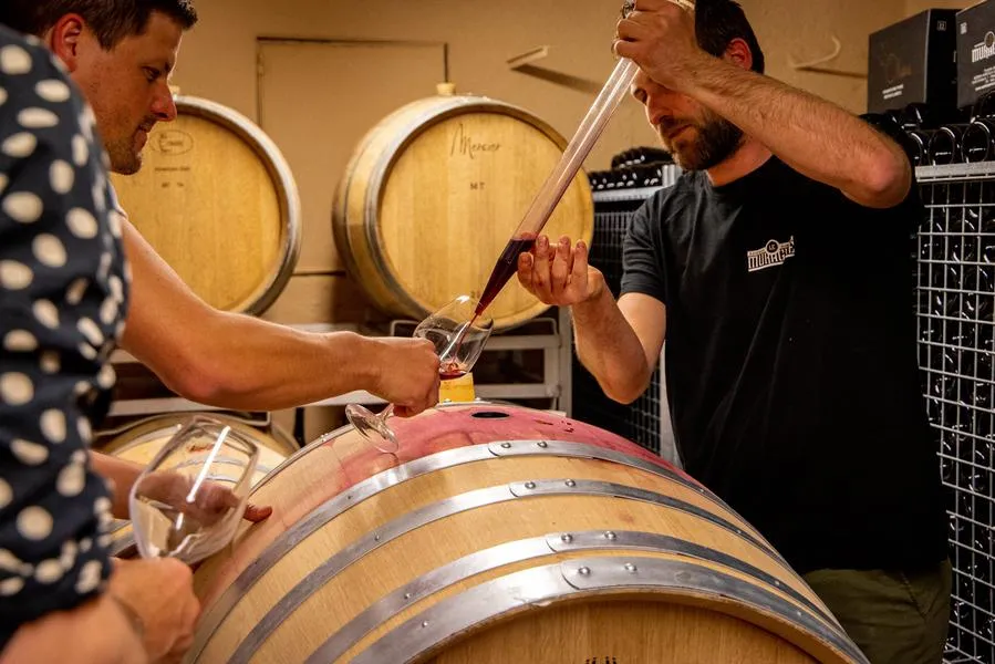 Tasting of 6 wines with a tour of the Le Muraglie Winery on Lake Garda