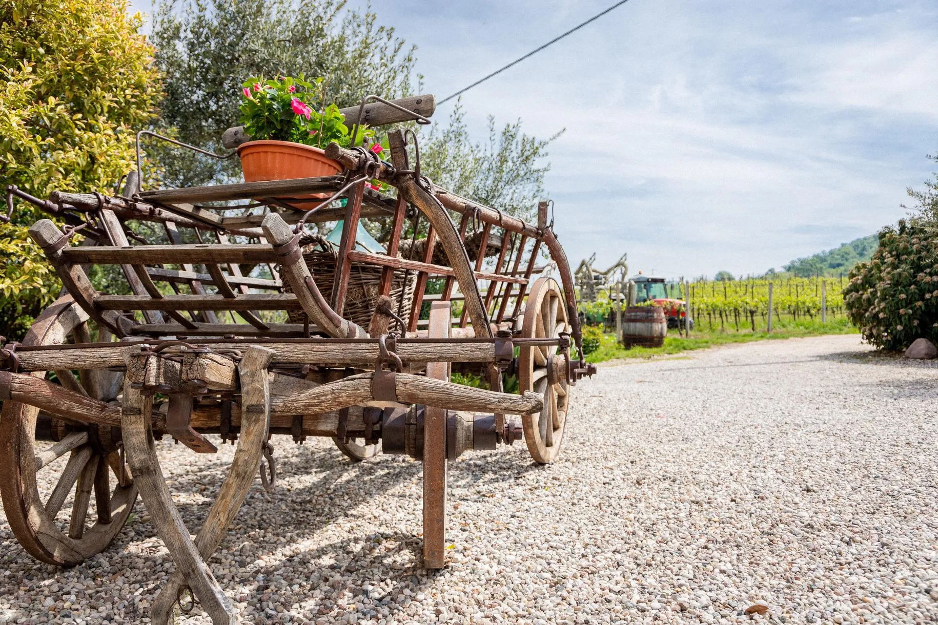 Degustazione di 6 vini con visita alla Cantina Le Muraglie sul Lago di Garda