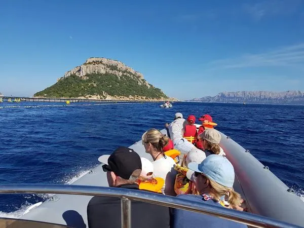 Tour in gommone da Golfo Aranci a Capo Figari e Figarolo con avvistamento delfini