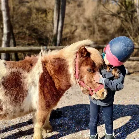 Passeggiata con pony nella natura a Cison di Valmarino