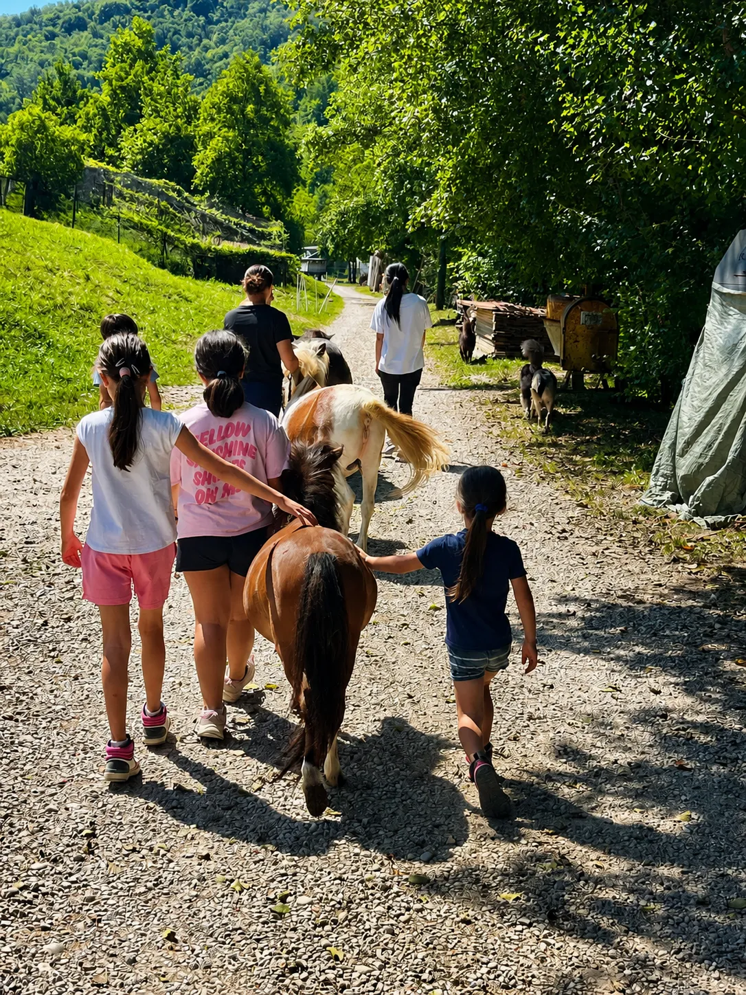 Passeggiata con pony nella natura a Cison di Valmarino