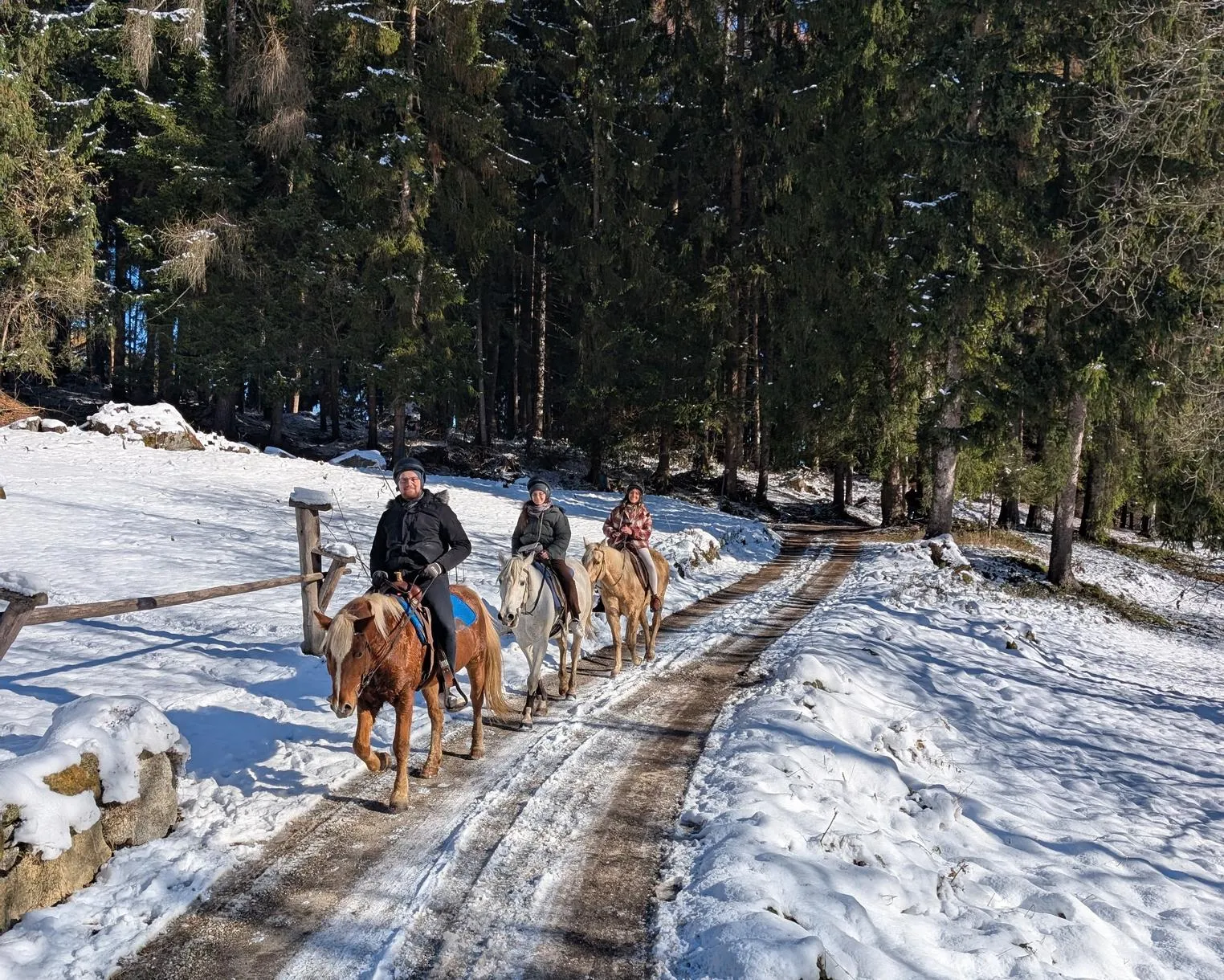 Passeggiata a cavallo nei boschi delle Giudicarie