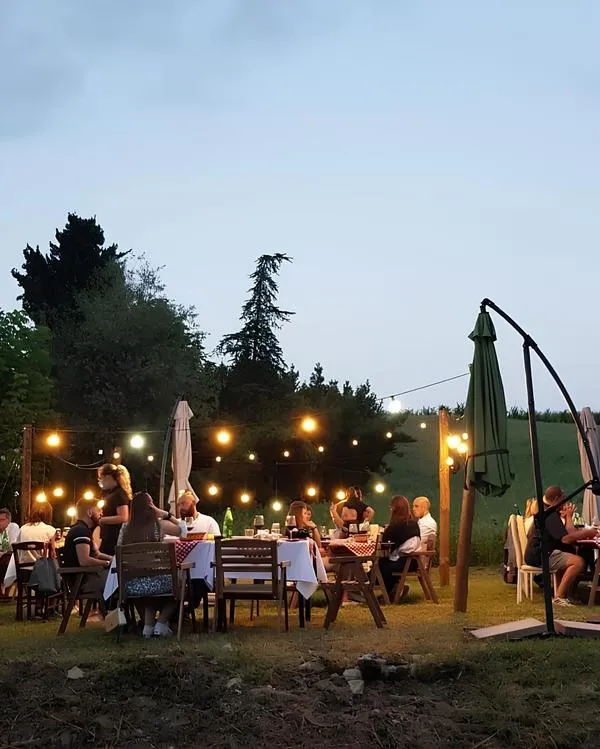 Dinner in the vineyard in the Oltrepò Pavese area