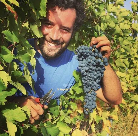 Aperitivo in vigna nell'Oltrepò Pavese