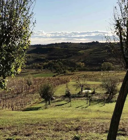 Aperitivo in vigna nell'Oltrepò Pavese