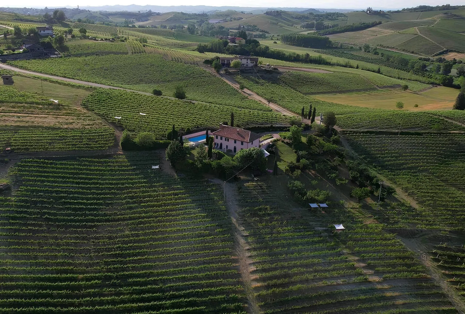 Picnic in the vineyard in Alto Monferrato