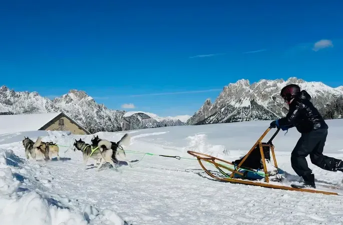 Husky Sledding Tour at Casera Razzo in the Dolomites