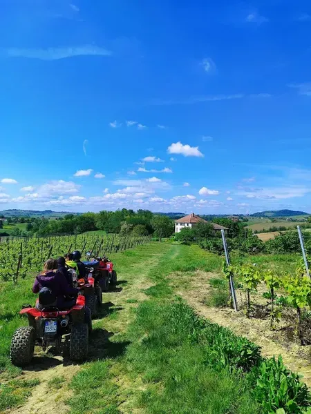 Escursione in quad con visita in cantina nel Monferrato