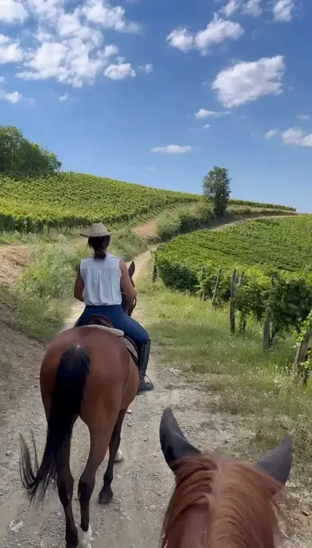 Passeggiata a cavallo con visita in cantina e degustazione a Spigno Monferrato