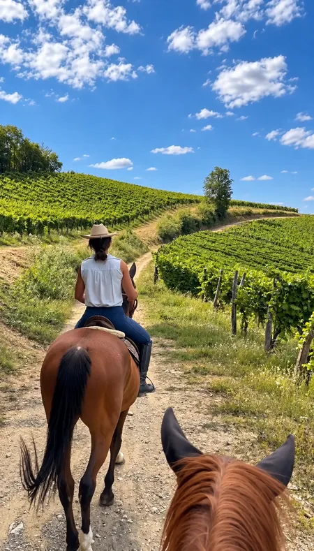 Passeggiata a cavallo con visita in cantina e degustazione a Spigno Monferrato