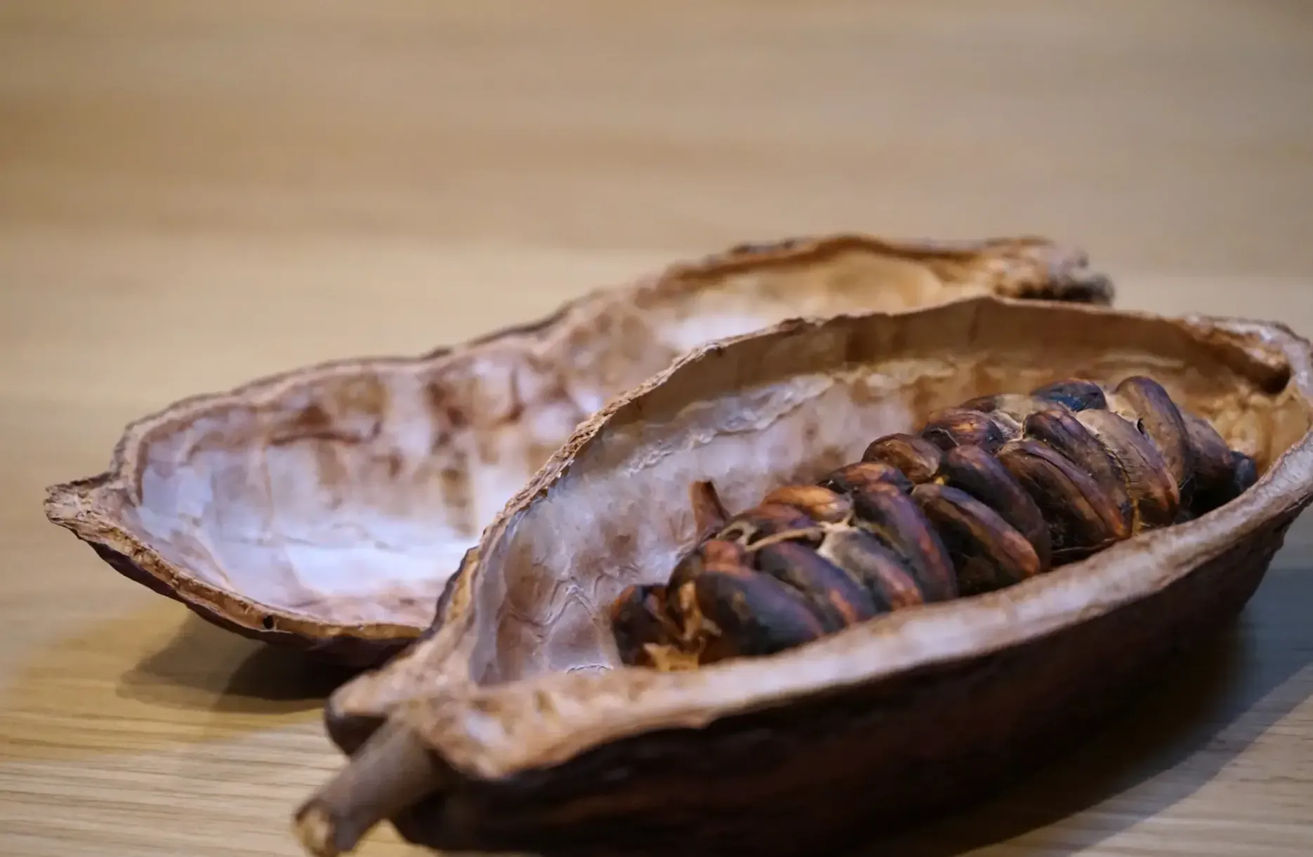 Tour guidato con lezione e degustazione di cioccolato a Torino