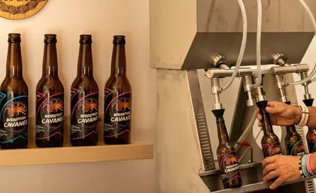 Visita in birrificio artigianale con degustazione di birre a Rivarolo Canavese