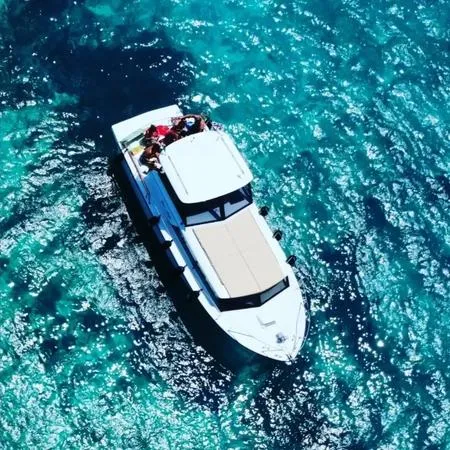 Vintage speedboat day with lunch from Palau