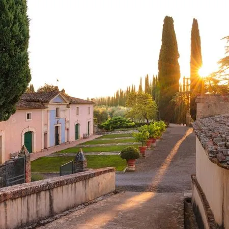 Degustazione e visita cantina in esclusiva nelle Crete Senesi