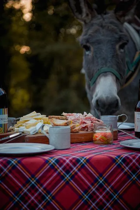 Donkey walk on St. Michael's Hill and snack