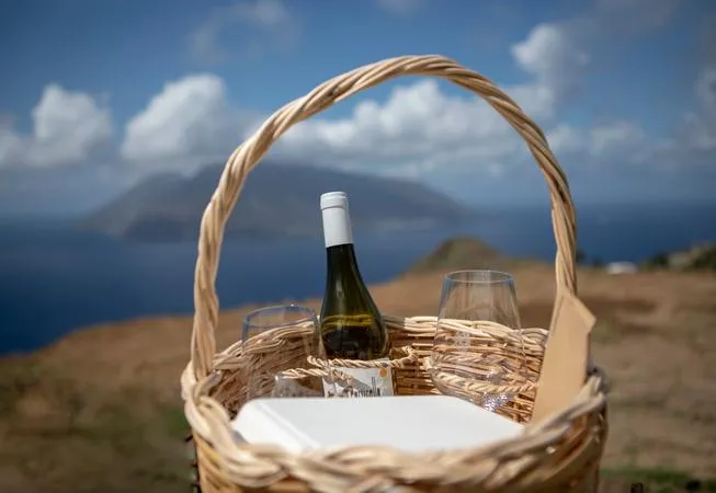 Picnic in vigna a Lipari