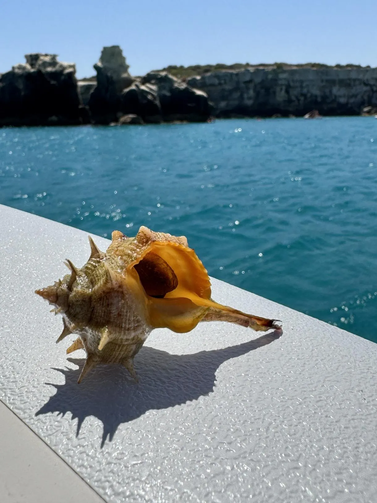 Group boat excursion along the coast of San Foca