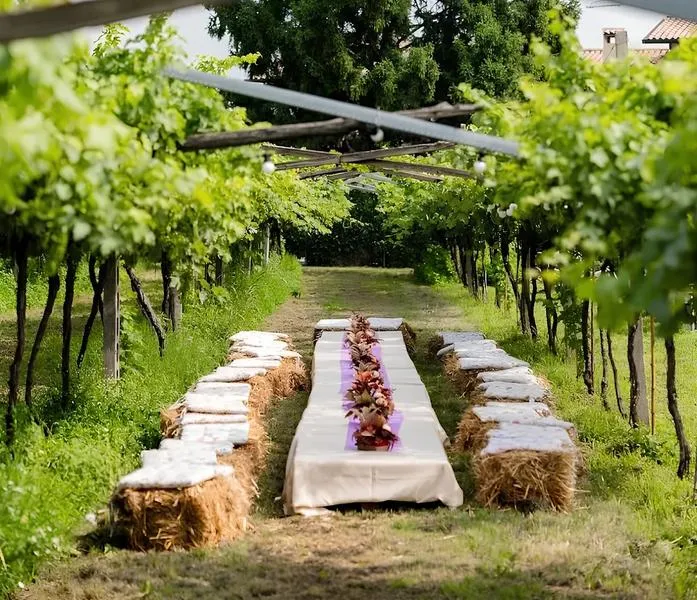 Picnic in the vineyard outside Verona with wine tasting