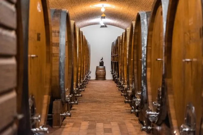 Degustazione vini e visita dell'Azienda Agricola Monte del Fra'