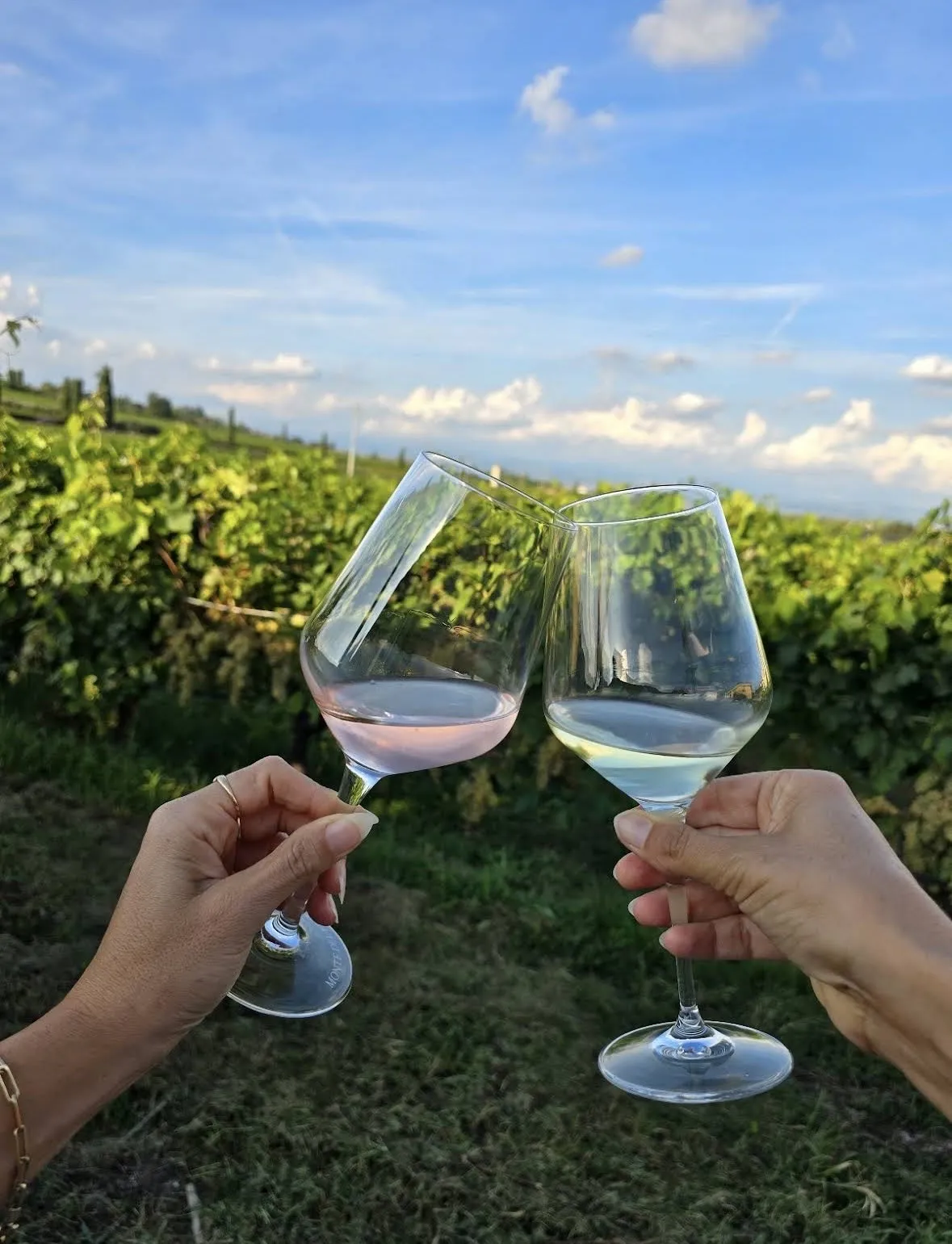 Degustazione vini e visita dell'Azienda Agricola Monte del Fra'