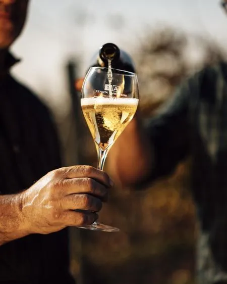 Visita in cantina e degustazione vini alla Tenuta Ambrosini