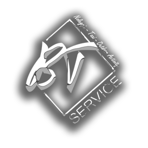BTService logo