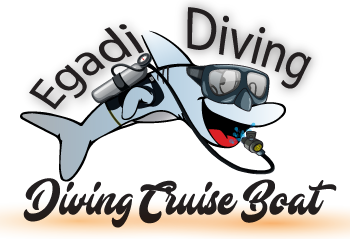 Egadi diving logo