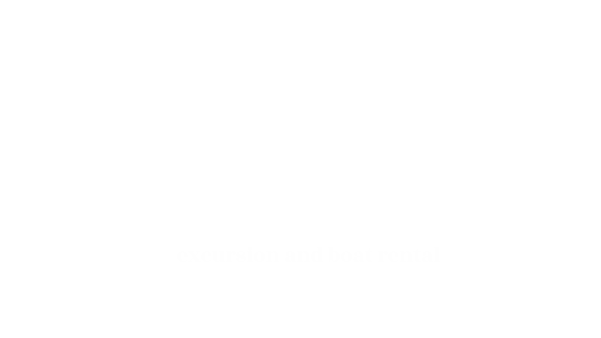 Dolphin Excursion and Rental logo